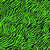 Wallpaper Zebra 3 papiers peint