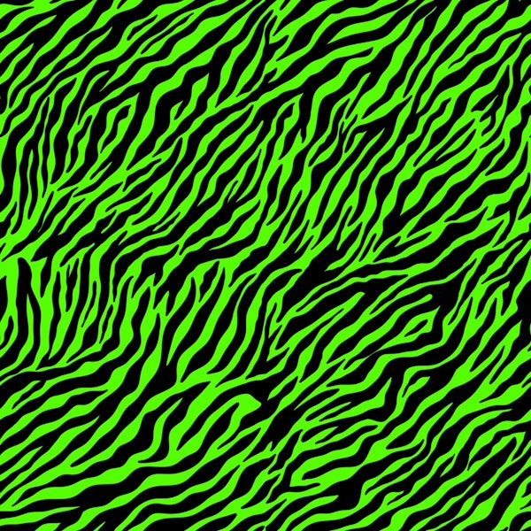 Wallpaper Zebra 3