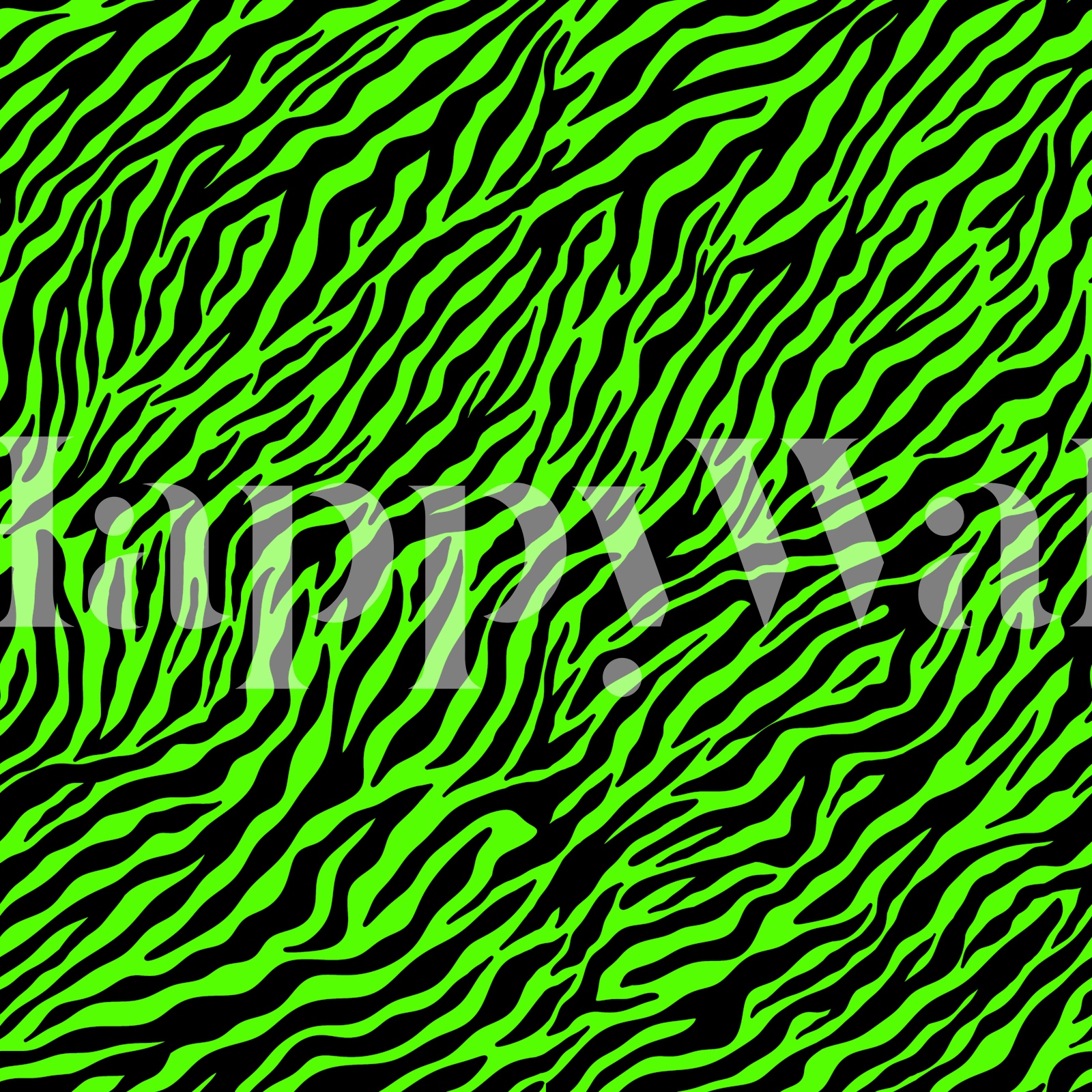 Neon Green Zebra Pattern wallpaper Happywall