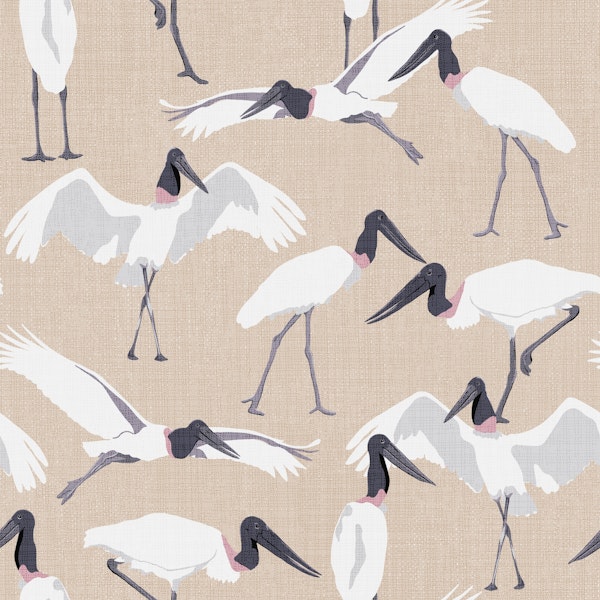 Dance of the Tuiuiui sand