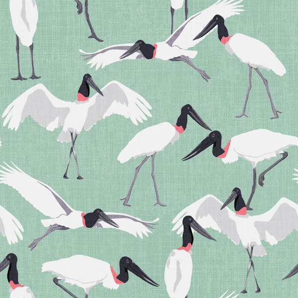 Dance of the Tuiuiui mint