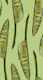 Banana Leaf bright green