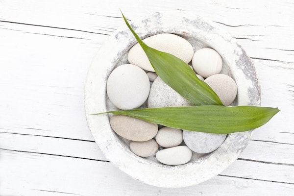 Zen Style Still Pebble And Green Leaf