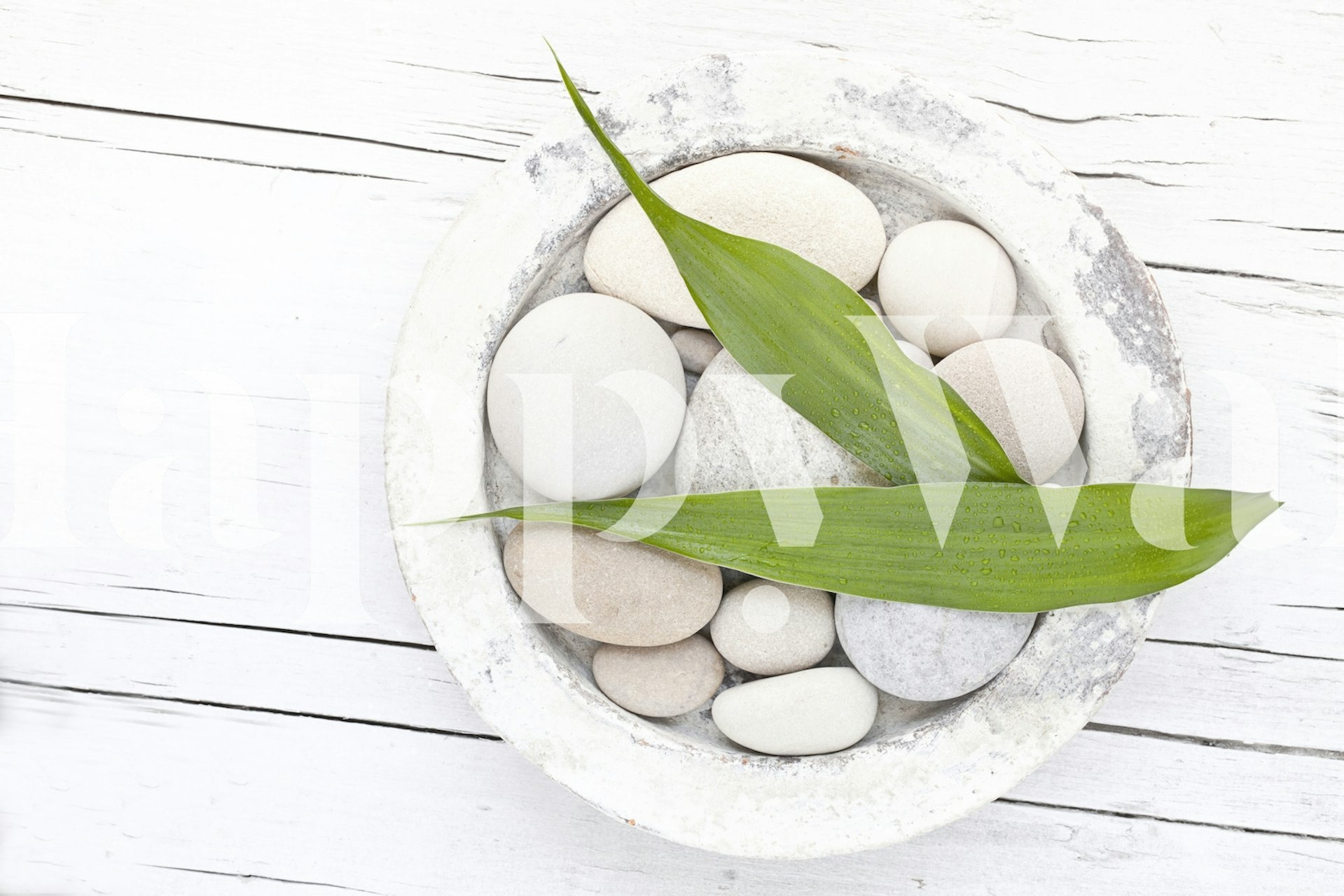 Zen-inspired wall mural with smooth pebbles and a fresh green leaf on a white background