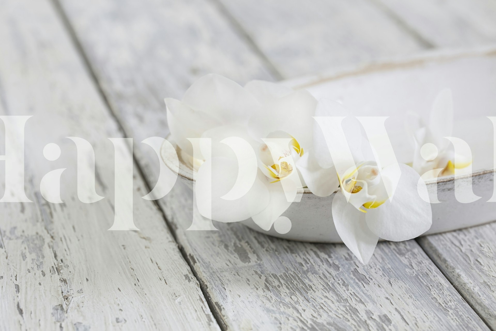 Minimalistic Zen Style Orchid Still Life design