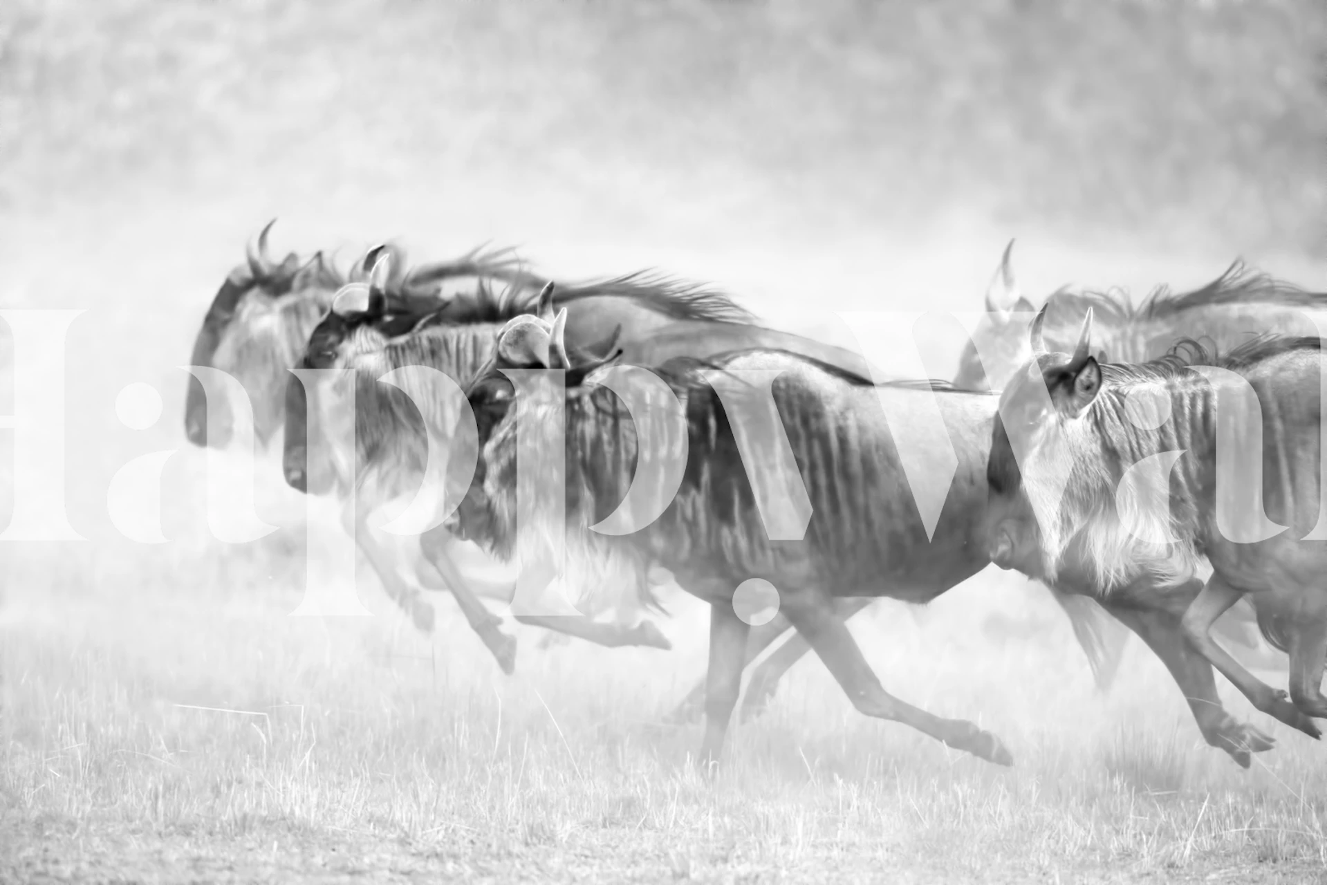 Unstopable wallpaper in a stylish room