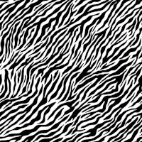 Wallpaper Zebra 1 papiers peint
