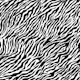 Wallpaper Zebra 1