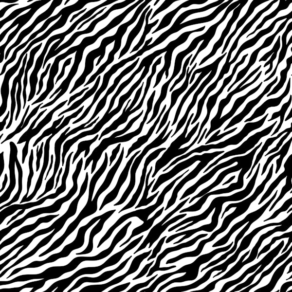 Wallpaper Zebra 1