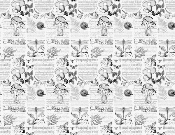 Joris Hoefnagel Botany Treasures Black White