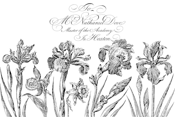 Historic Flower Drawings Black White