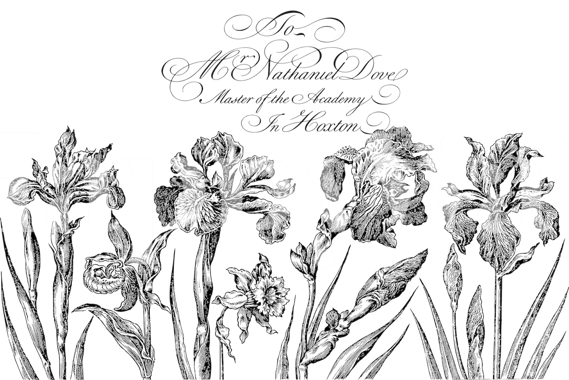 Black and white historic floral drawings wall mural creating an elegant and scholarly ambiance.