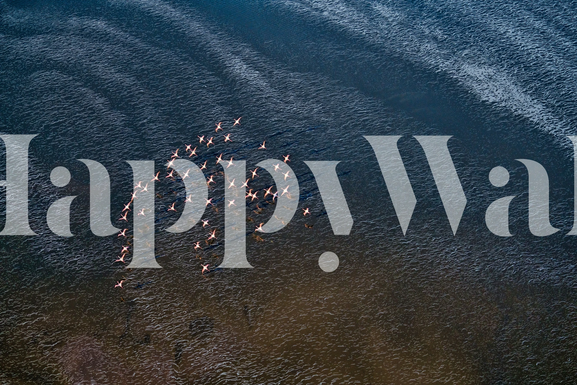 Flock of birds flying over ocean waves wall mural