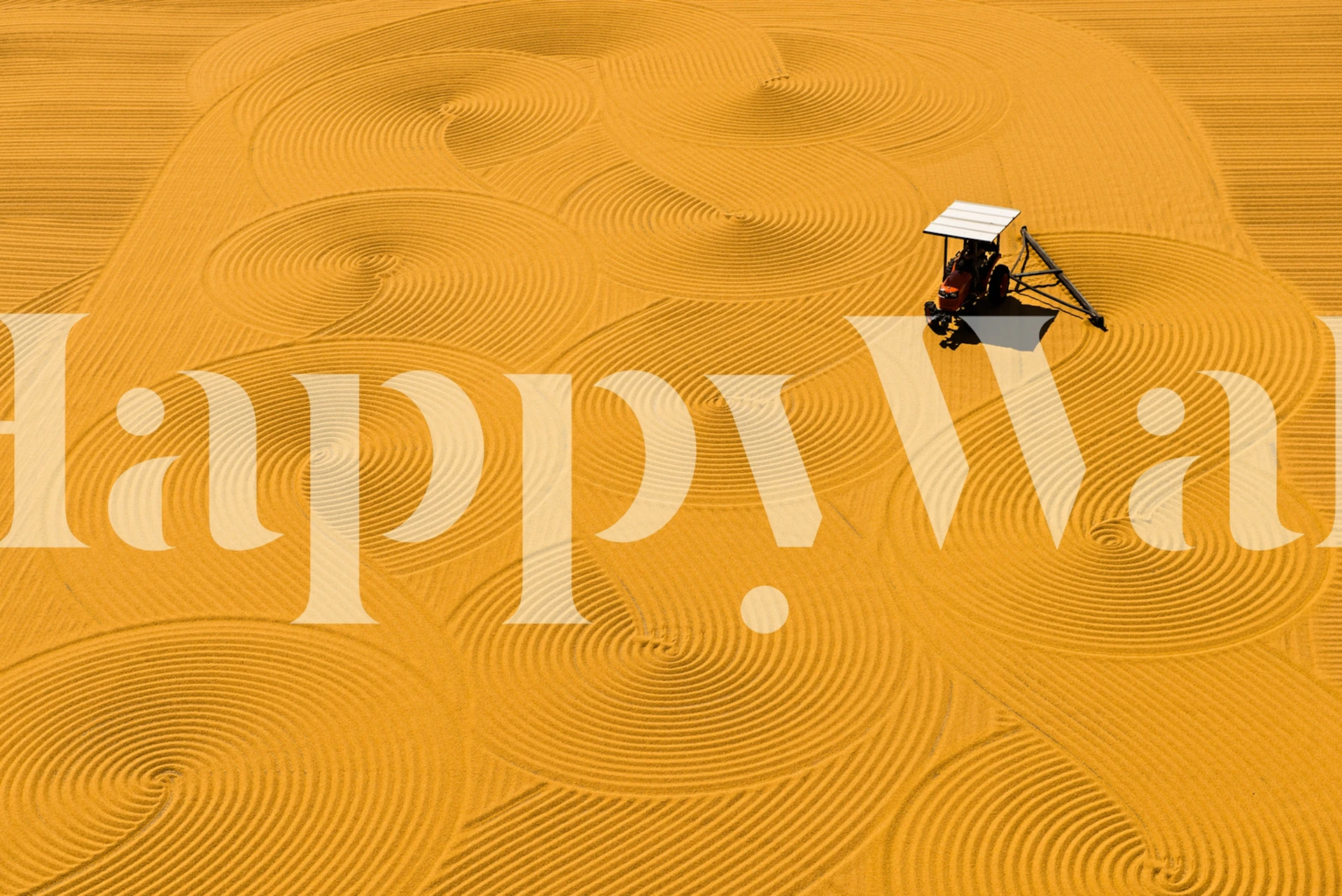 Bulgur drying Tapete in einem Raum