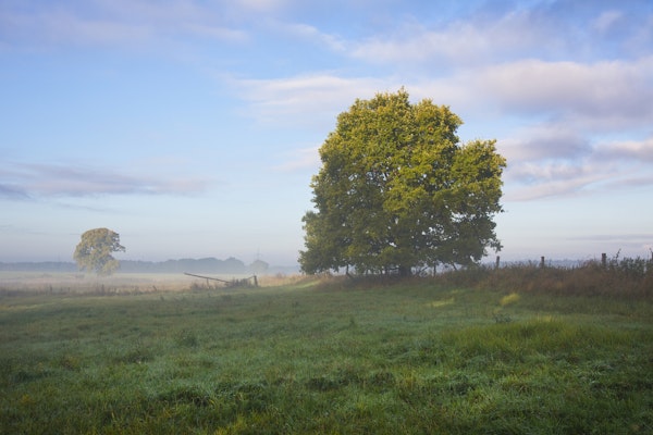 Rural Idyllic Landscape In Germany
