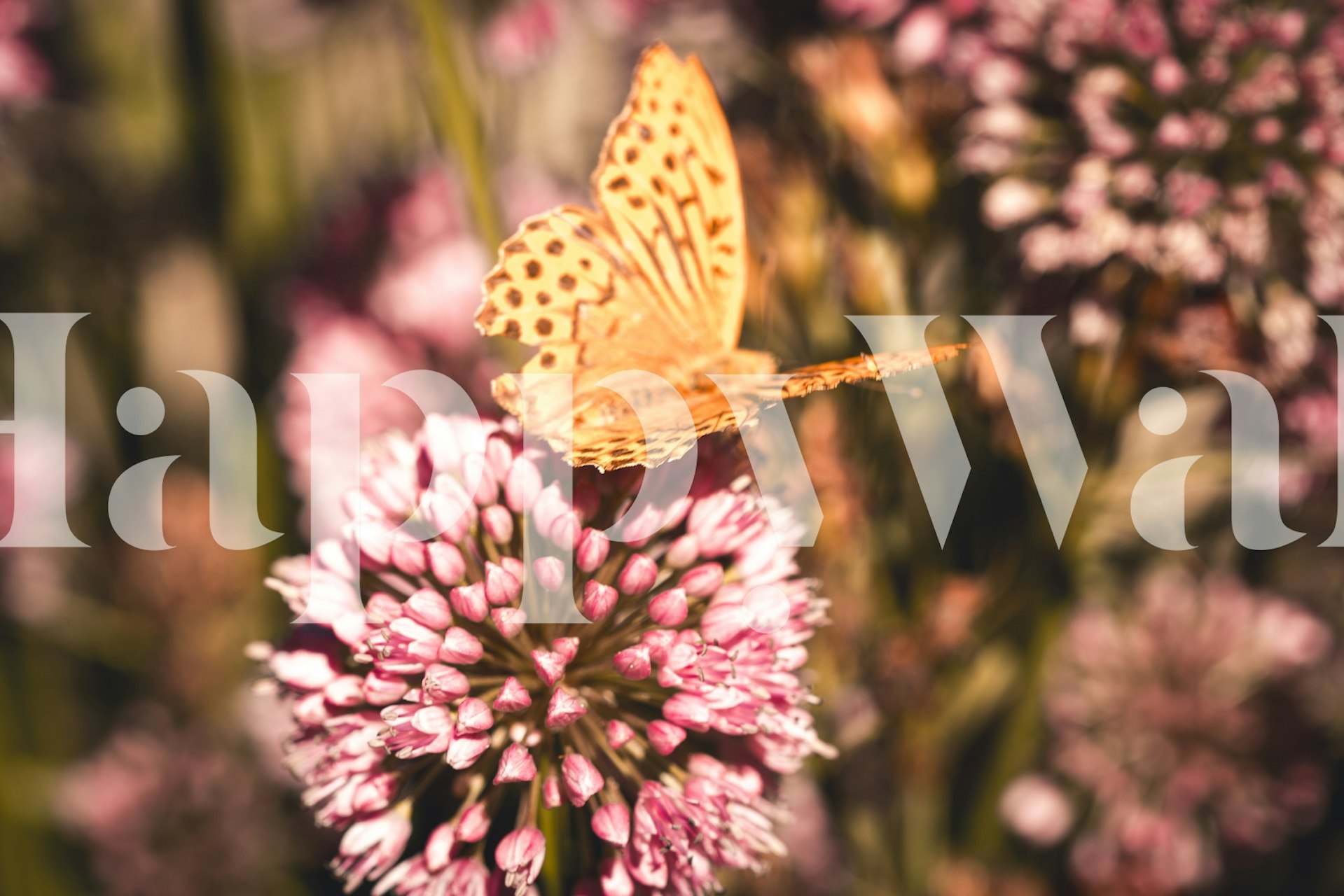 A butterfly perched on a flower, featuring in Butterfly at Work wall mural.