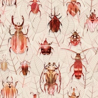 Peach Beetles and Scarabs behang