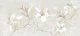 Magnolia Morning Pastel Cream