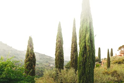 Τοιχογραφία