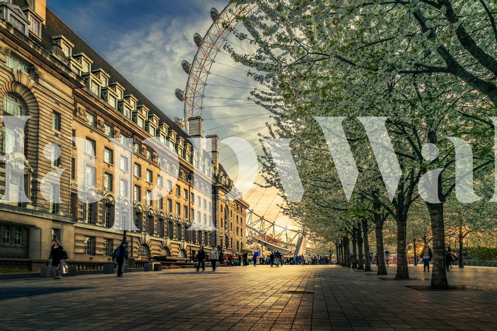 Warm sunset over London Eye with blossoming trees wall mural