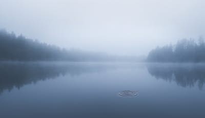 Τοιχογραφία