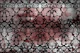 Damask Luxury Warm Monochrome
