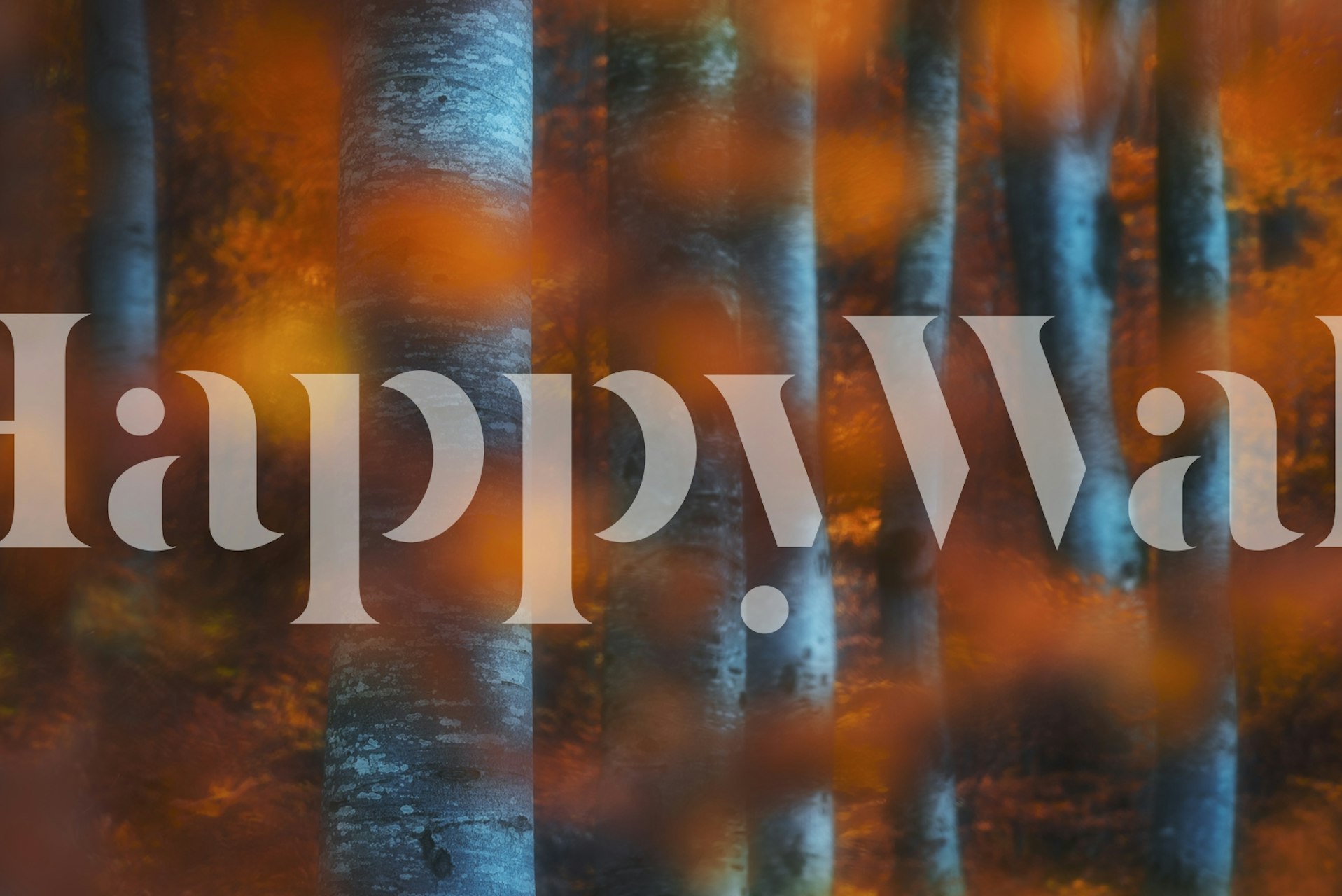 Forest scene with orange leaves and blue trunks wallpaper