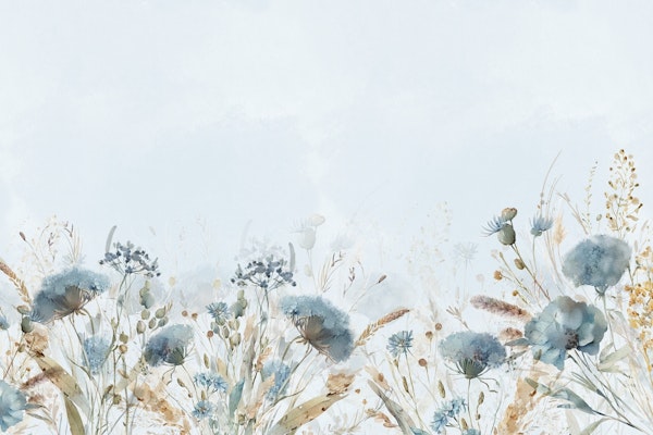 Enchanting Blue Midsummer Wildflower Meadow