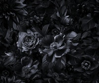 Opulent Baroque Flowers Black And Grey tapete