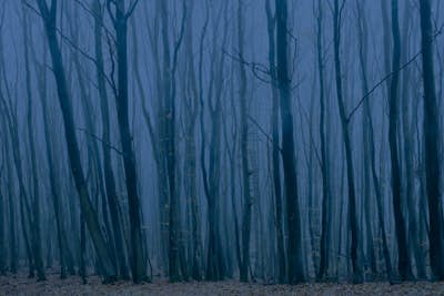 Τοιχογραφία