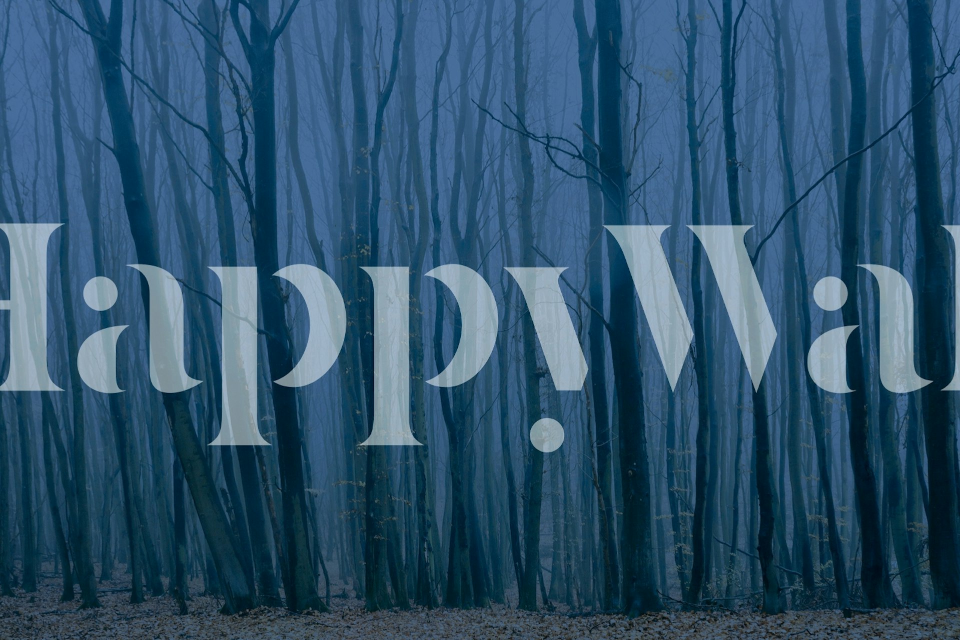 Foggy forest with dark blue trees and soft light wallpaper