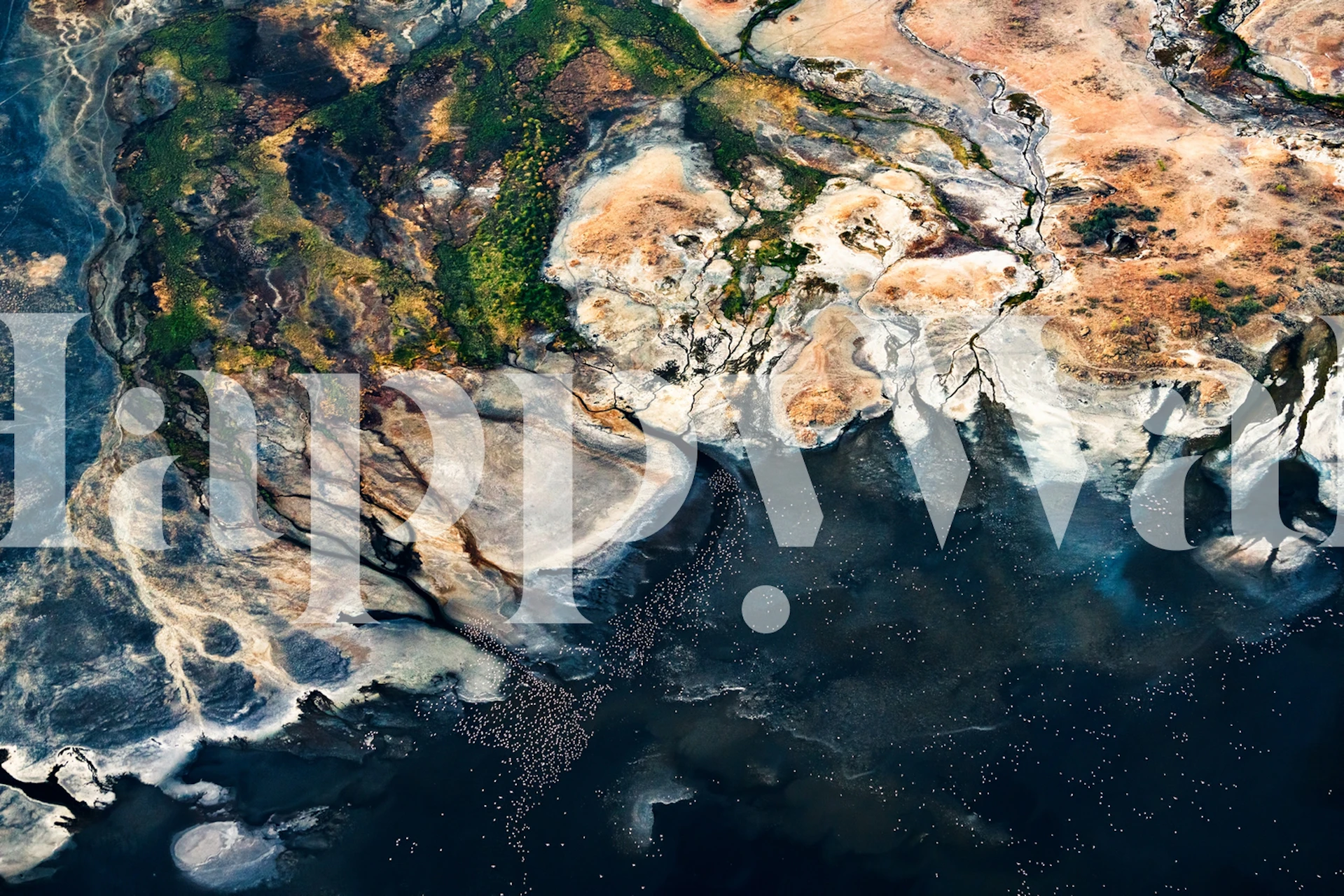 Design de papel de parede Splendid Africa no quarto