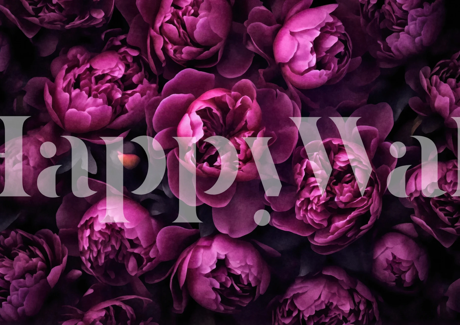 Luksuriøs pink pæon-vægmaleri med en mørk, elegant baggrund