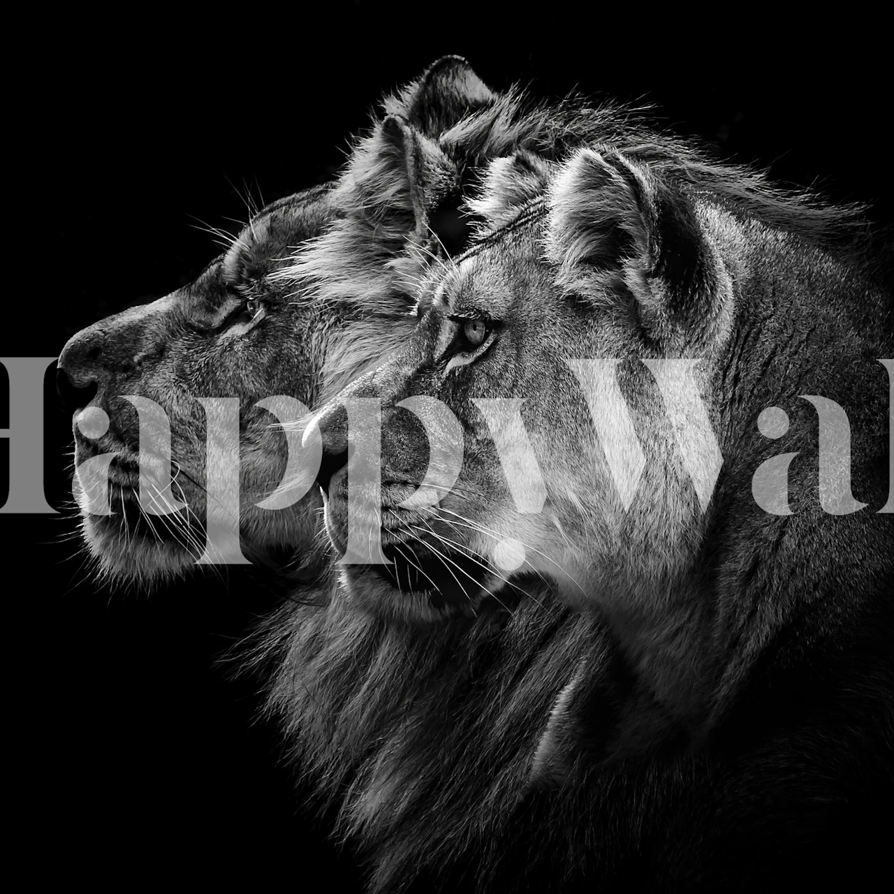 Sort og hvidt vægmaleri af en løve og løvinde i profil mod en mørk baggrund