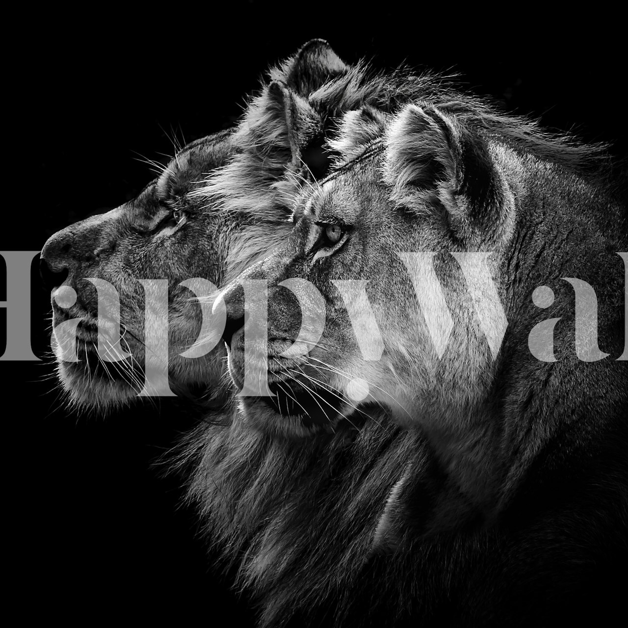 Black and white mural of a lion and lioness in profile against a dark background