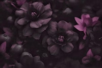 Atmospheric Floral Splendor Dark Moody Mauve tapet