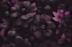 Atmospheric Floral Splendor Dark Moody Mauve