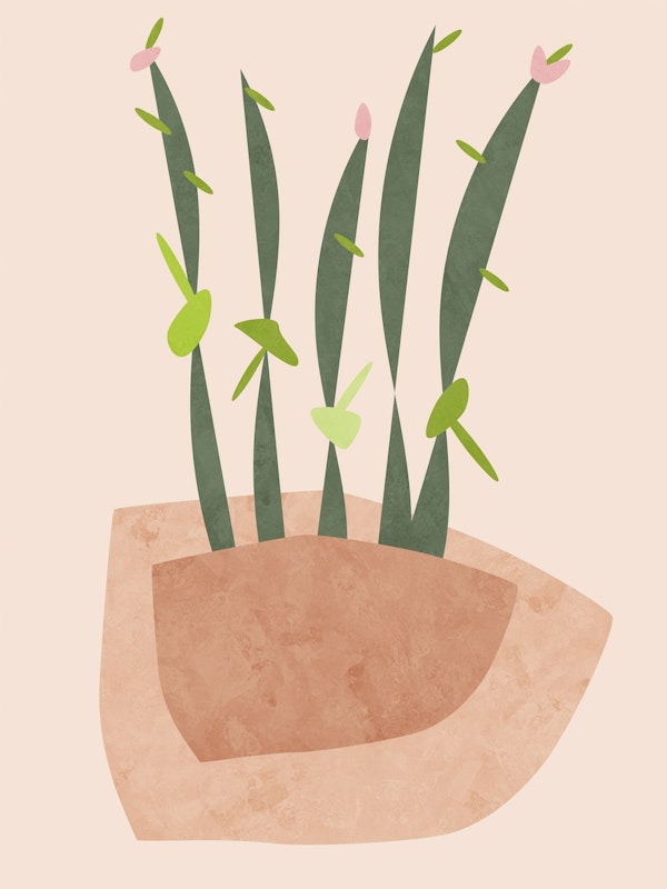 Minimalist Garden 01