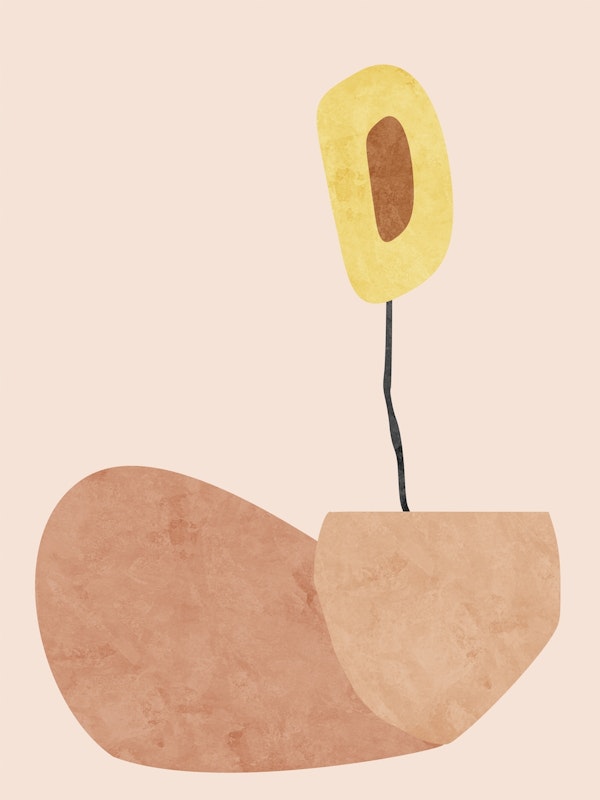 Minimalist Garden 02