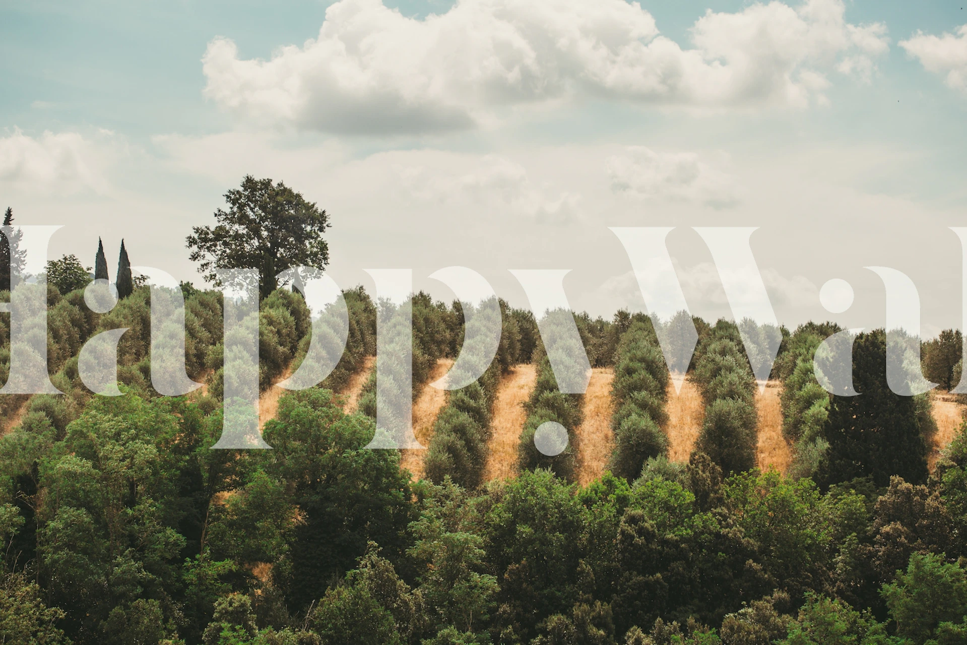 Papel pintado Toscana Landscape en una habitación