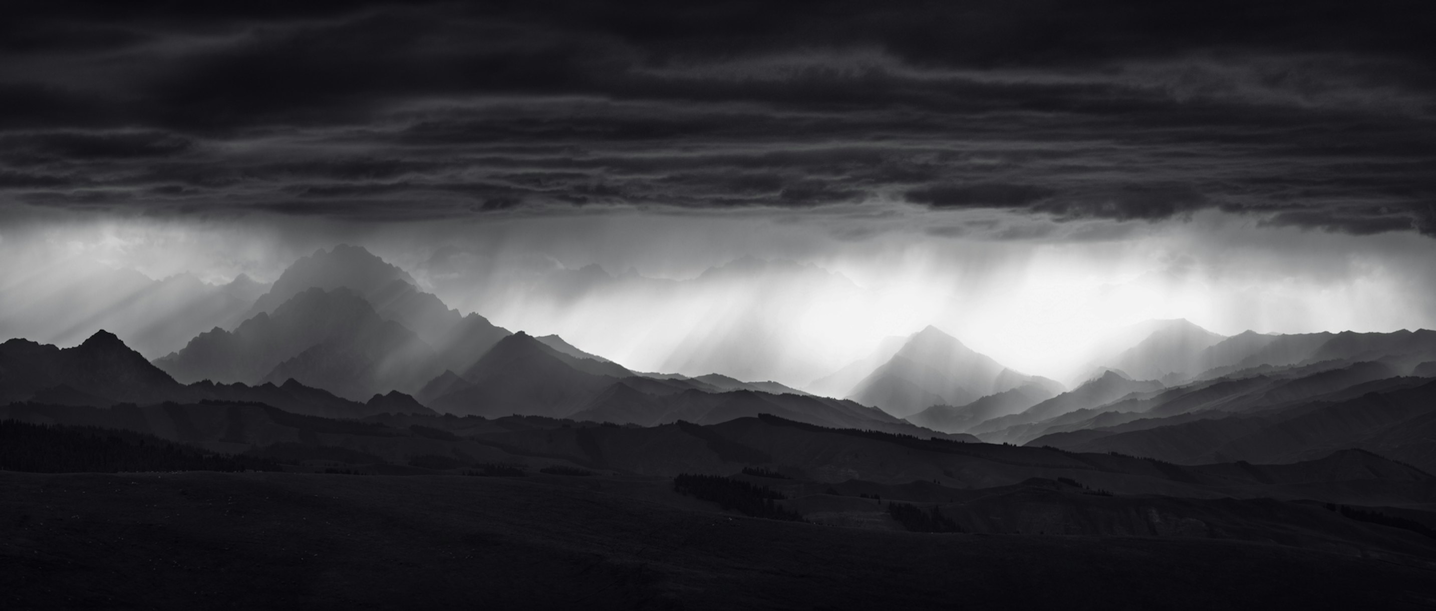 Buy See Through Wallpaper Online Happywall