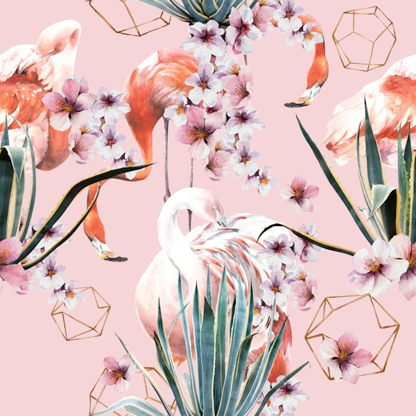 Pink flamingos in nature G