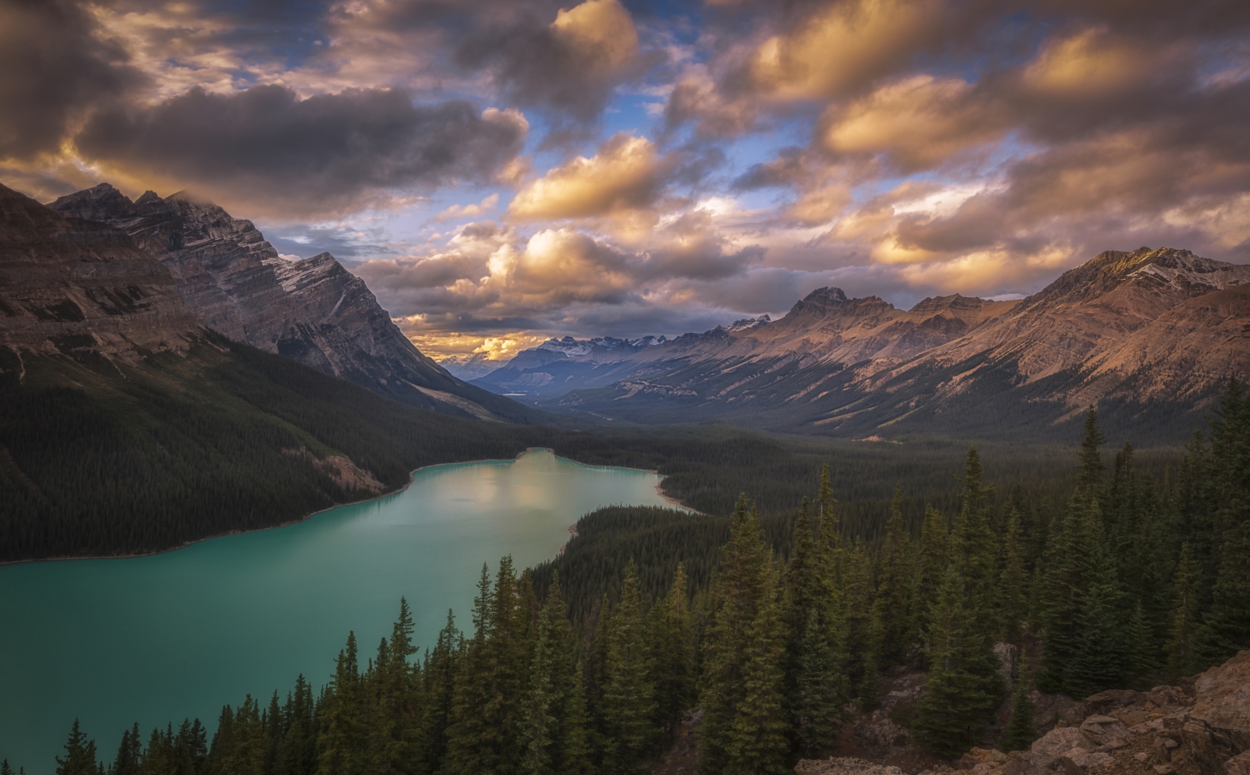 Buy Stunning Peyto Lake at Dusk Wallpaper Online - Happywall