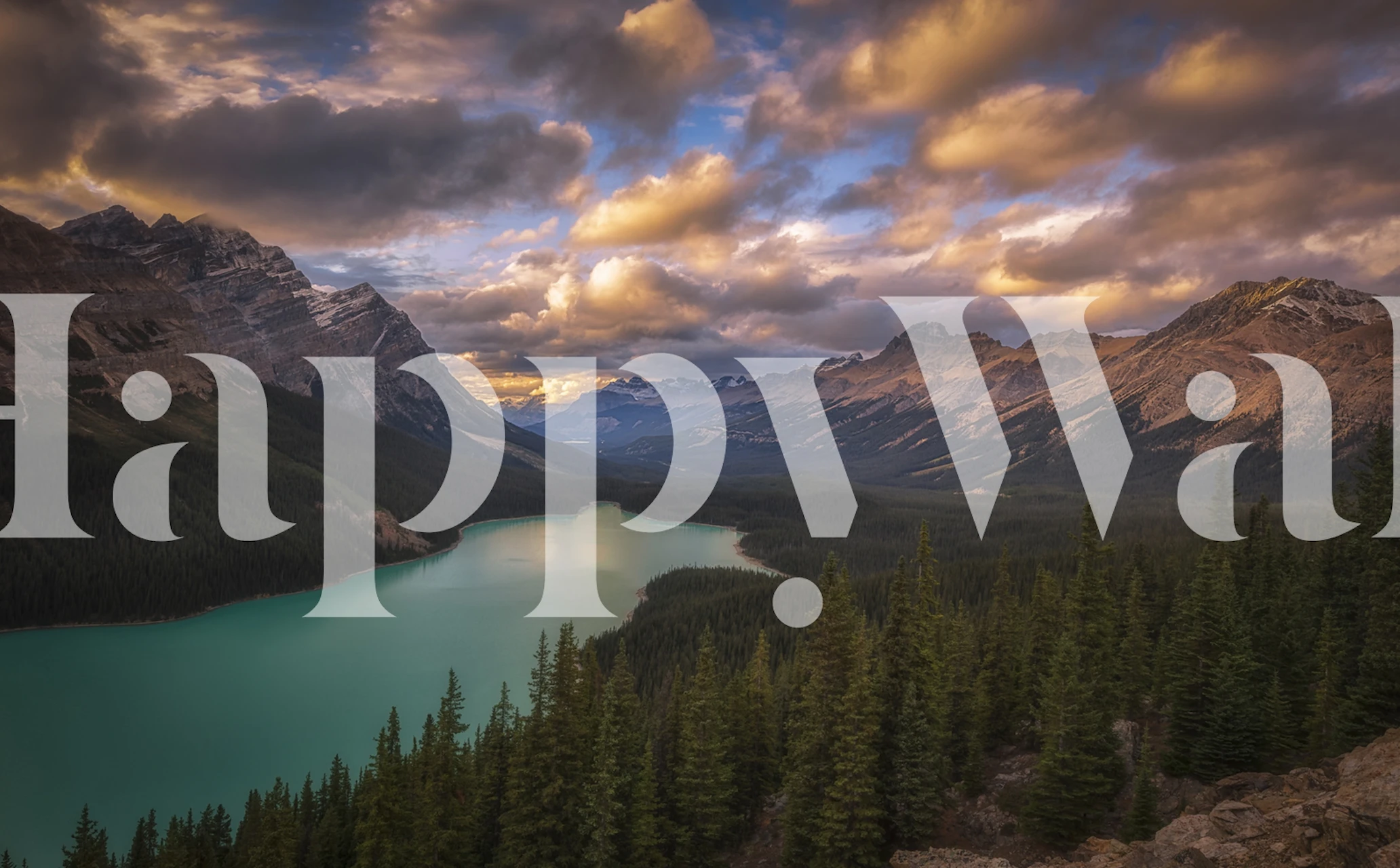 Peyto Lake at dusk wallpaper in a room