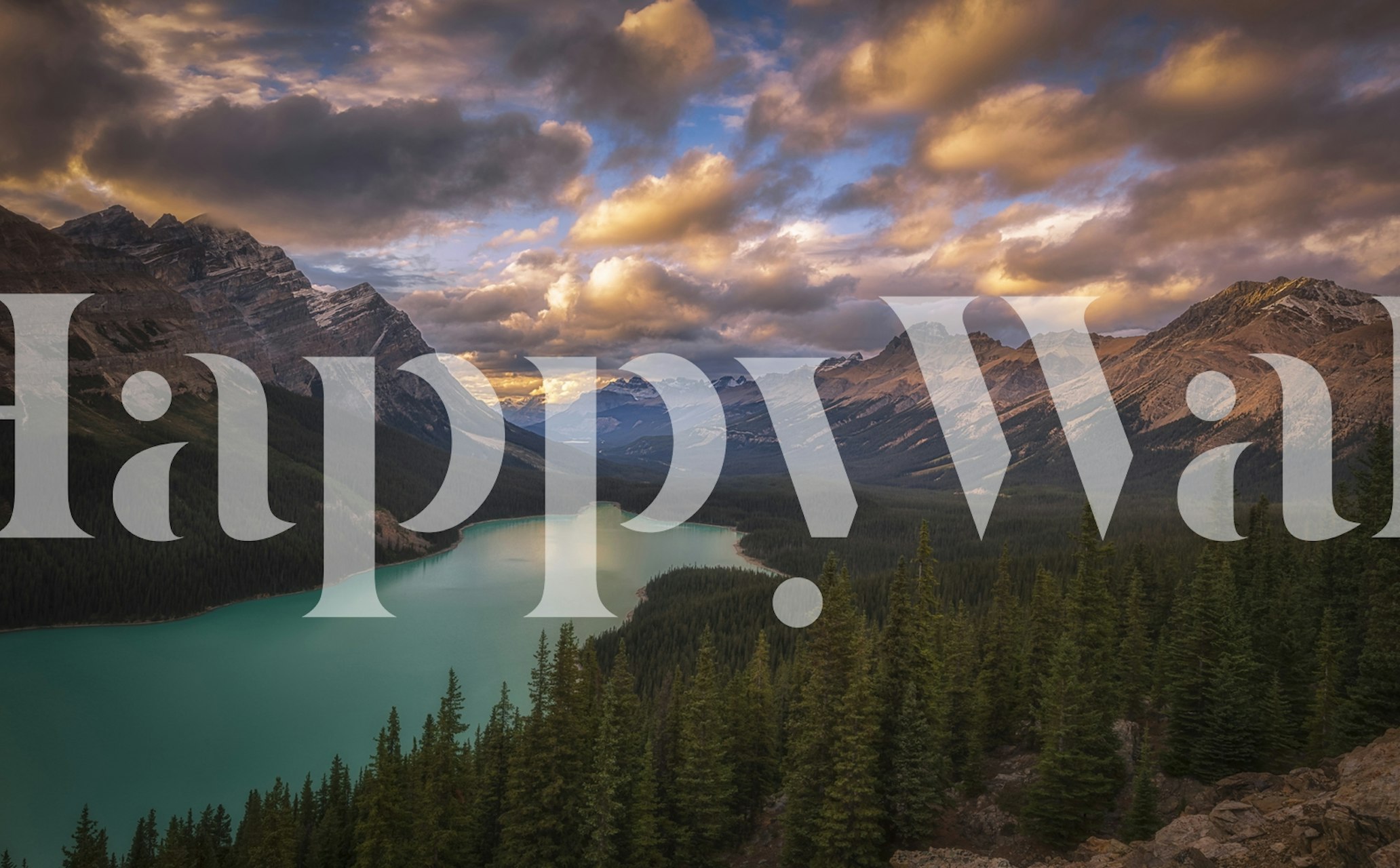 Peyto Lake at dusk wallpaper in a room