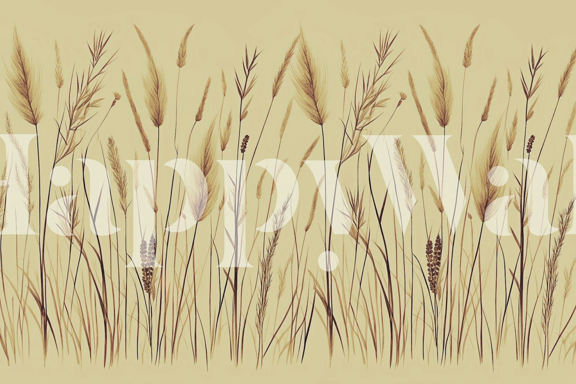 Japandi style wall mural featuring wild grasses in neutral tones