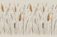 Japandi Wild Grass Botanical