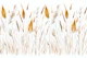 Wild Grass Botanical