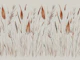 Wild Grass Botanical