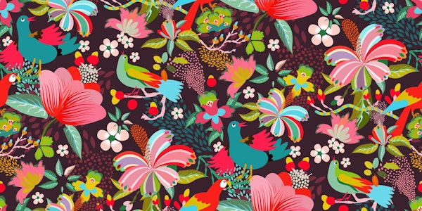 tropical forest parrots and birds